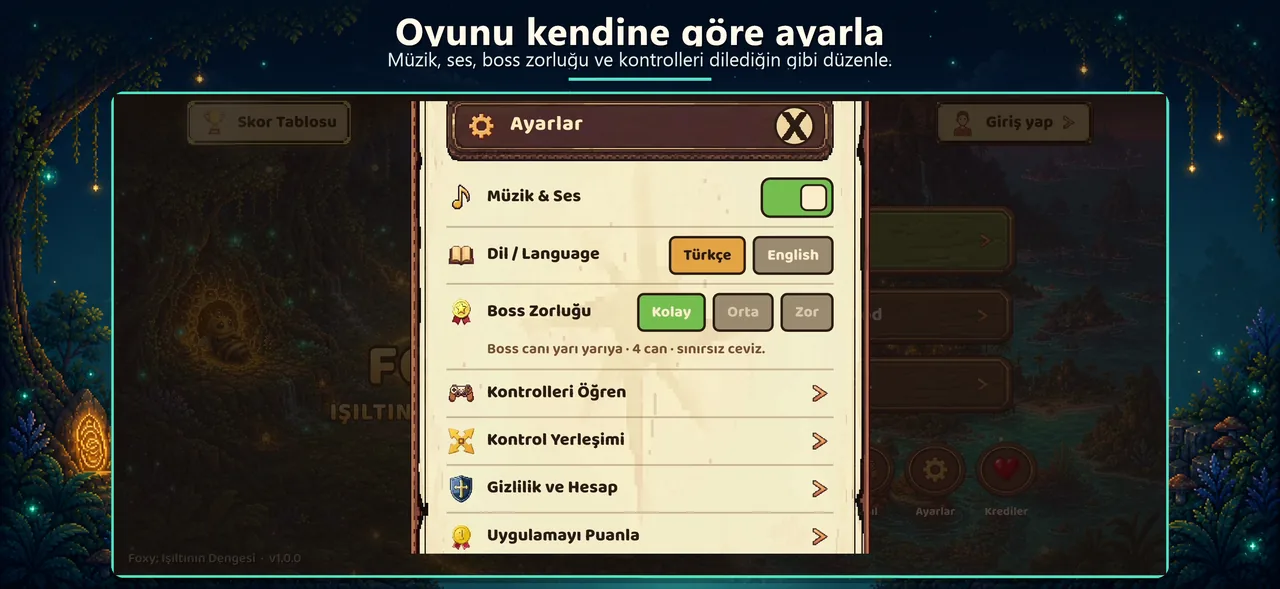 Ayarlar ekranı